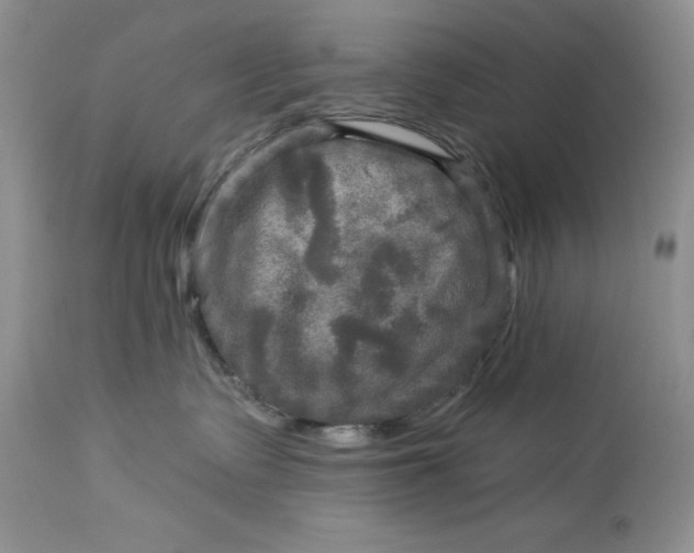 X0000114210335200910231412