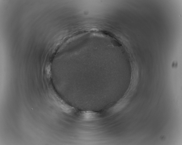 X0000114210336200910231412