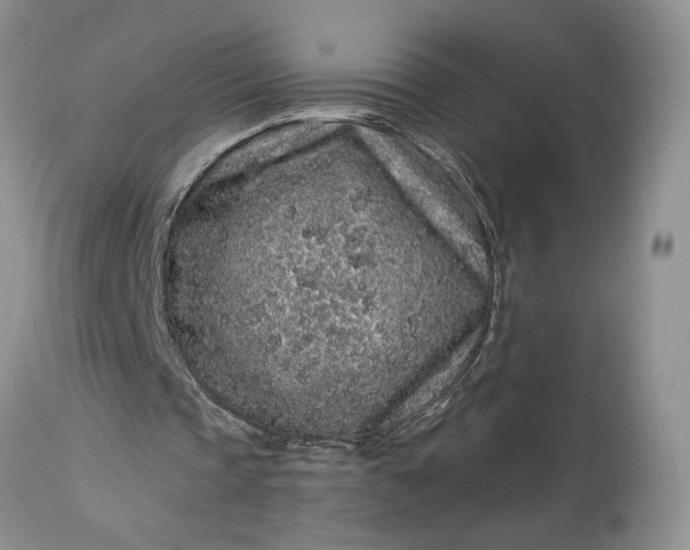 X0000114210337200910231411