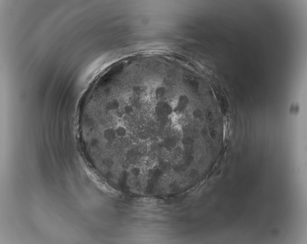 X0000114210339200910231411