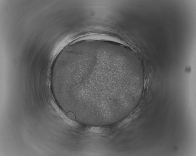 X0000114210341200910231411