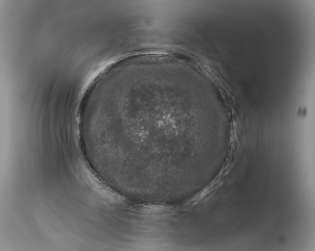 X0000114210342200910231411