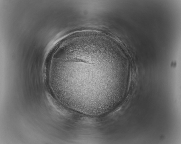 X0000114210343200910231411