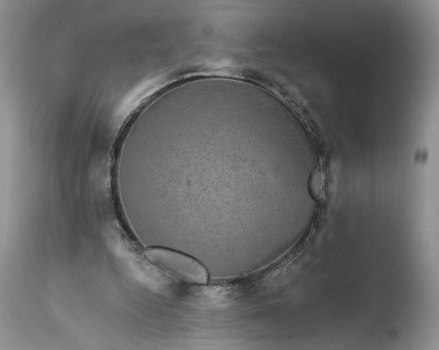 X0000114210344200910231411