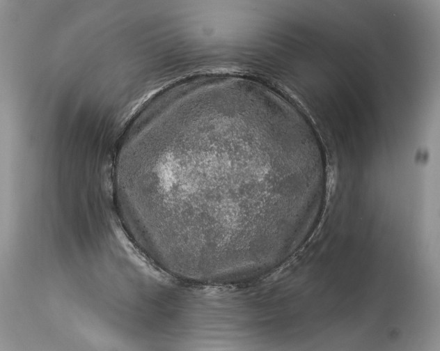 X0000114210345200910231411