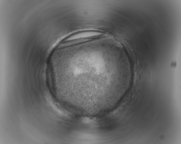 X0000114210346200910231411