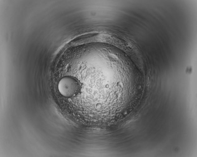 X0000114210347200910231411