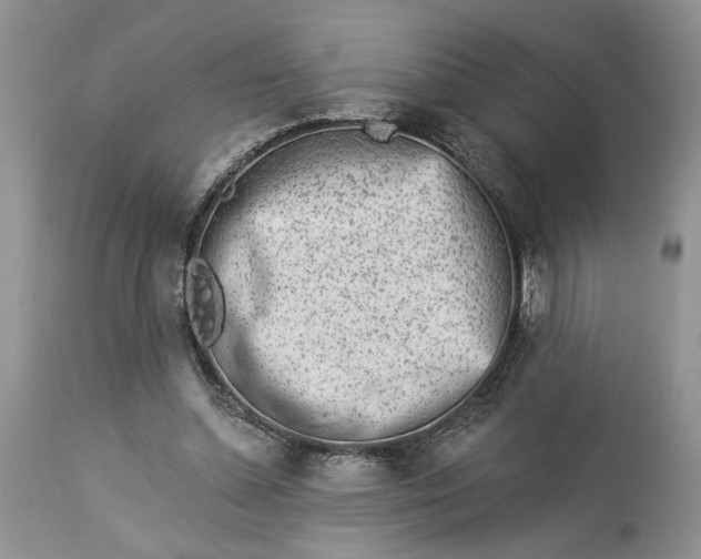 X0000114210348200910231411