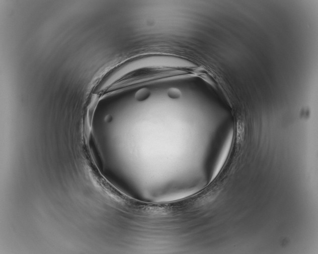 X0000114210349200910231411