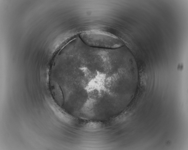 X0000114210350200910231411