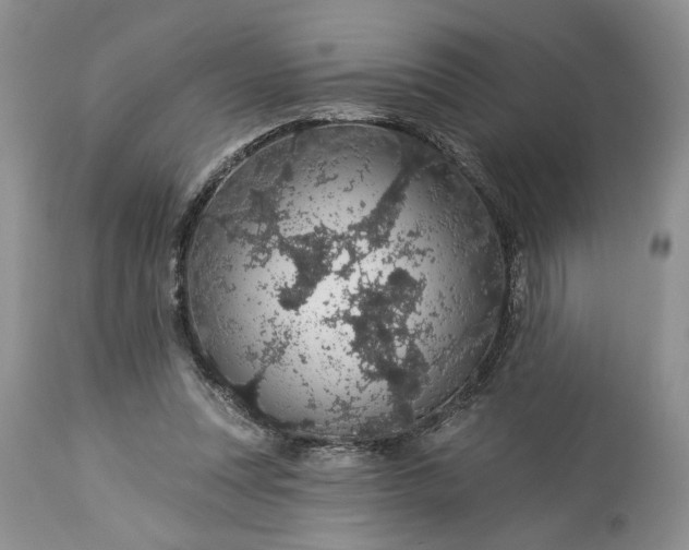 X0000114210351200910231411