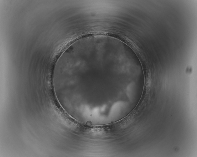 X0000114210353200910231411