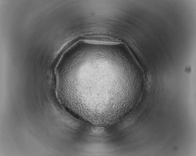 X0000114210355200910231411