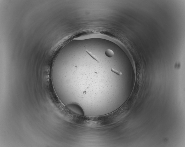 X0000114210356200910231411