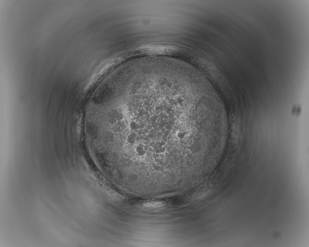 X0000114210357200910231411