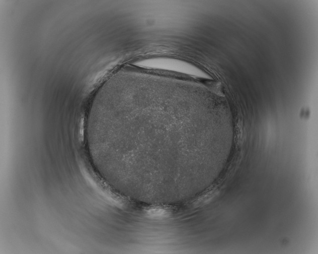 X0000114210358200910231411