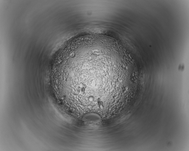 X0000114210359200910231411