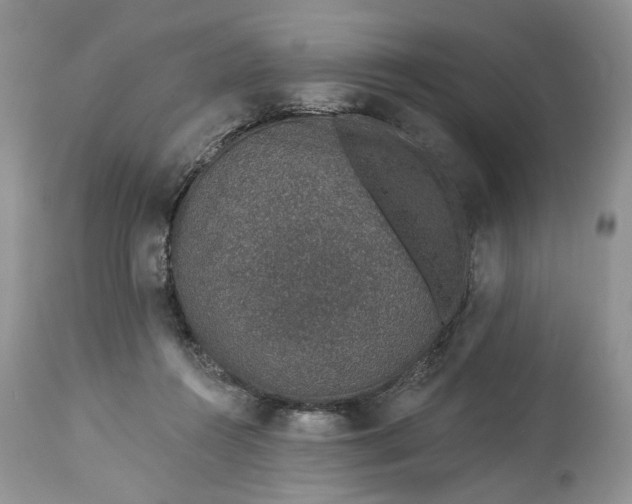 X0000114210360200910231411