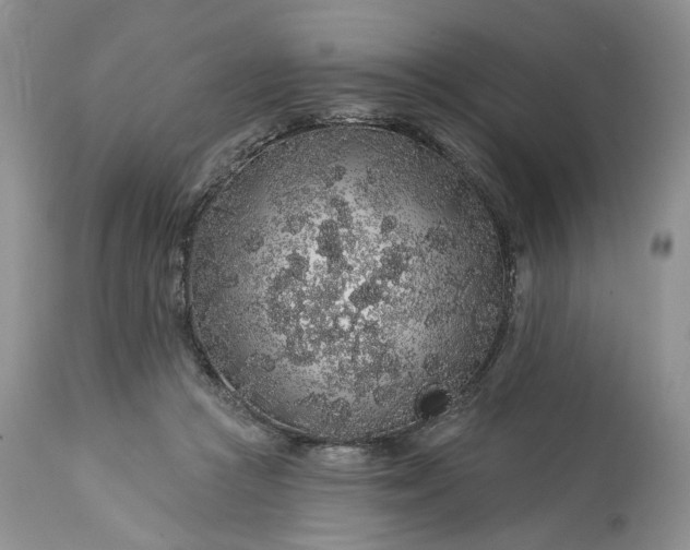 X0000114210361200910231411