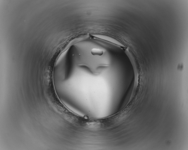 X0000114210362200910231411