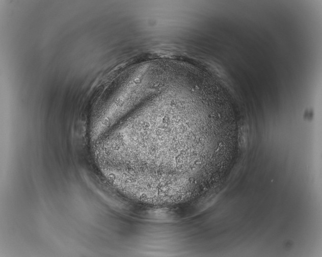 X0000114210365200910231411