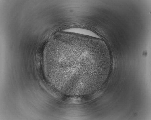 X0000114210366200910231411