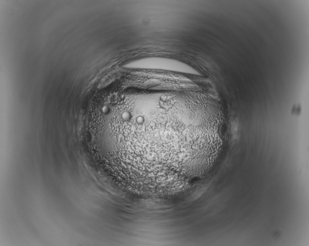 X0000114210367200910231411