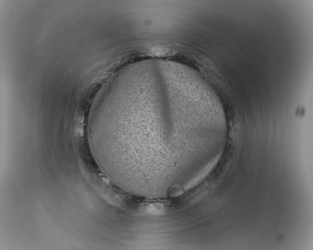 X0000114210368200910231411