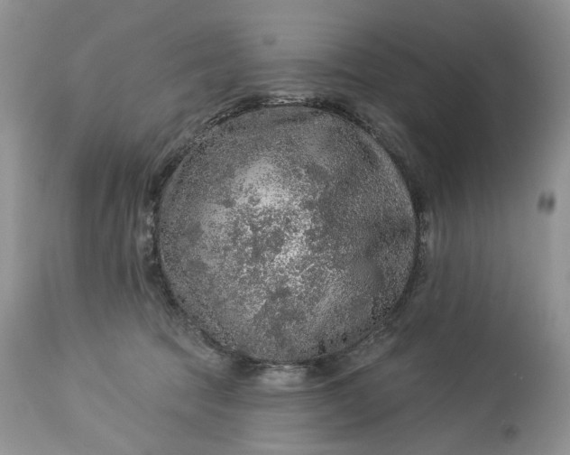 X0000114210369200910231411