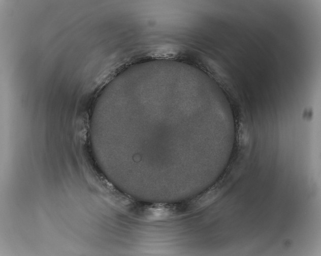 X0000114210370200910231411