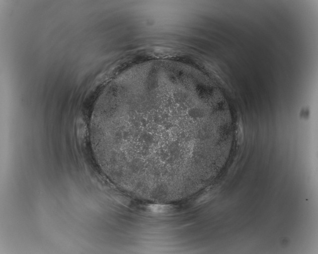 X0000114210371200910231411