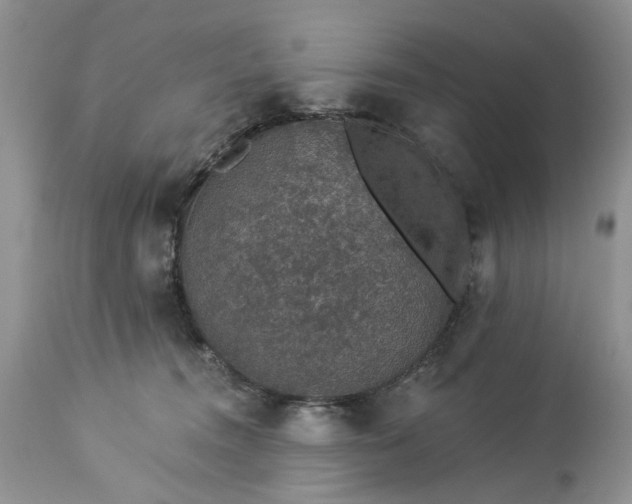 X0000114210372200910231411