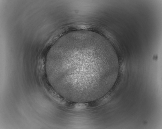 X0000114210373200910231411