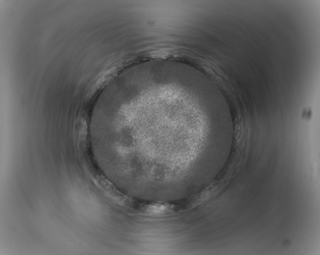 X0000114210375200910231411