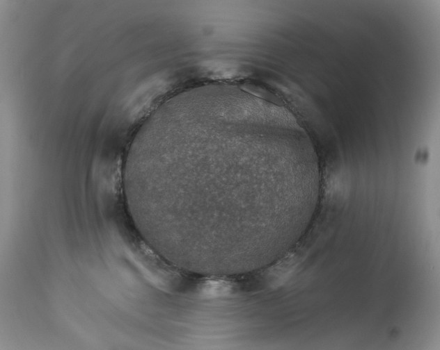 X0000114210376200910231411