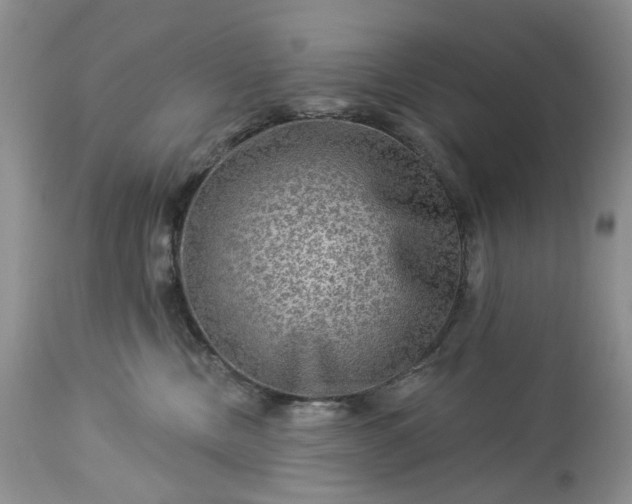 X0000114210378200910231411