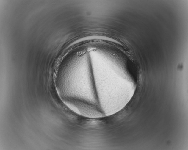 X0000114210379200910231411