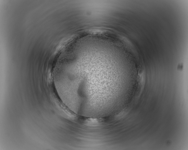 X0000114210381200910231412