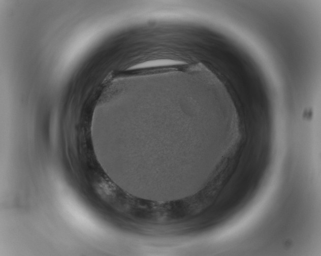 X0000114210382200910231412