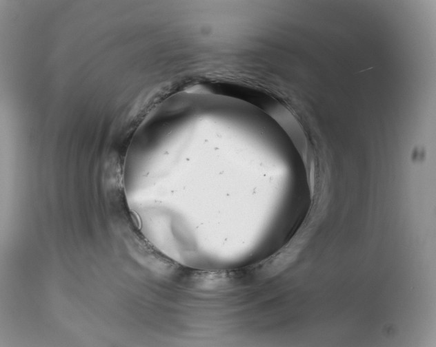 X0000114210384200910231412