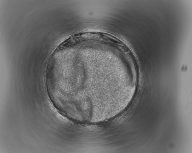 X0000114210385200910231411