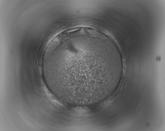 X0000114210386200910231411