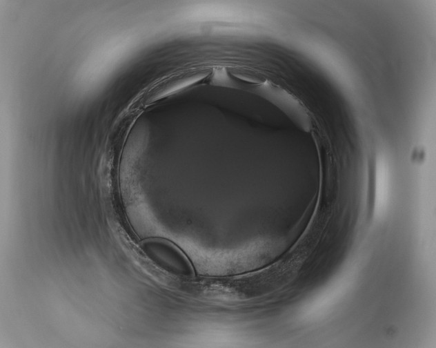 X0000114210387200910231411