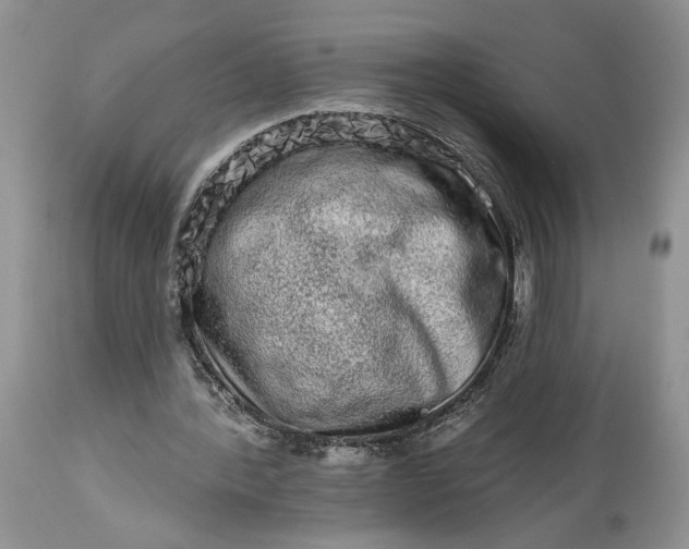 X0000114210388200910231411