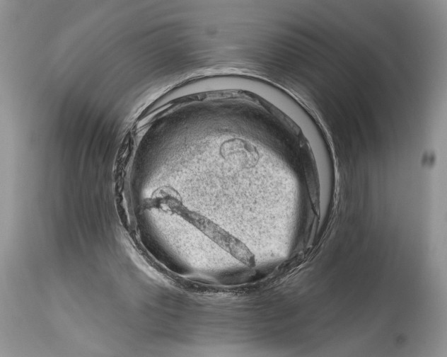 X0000114210389200910231411