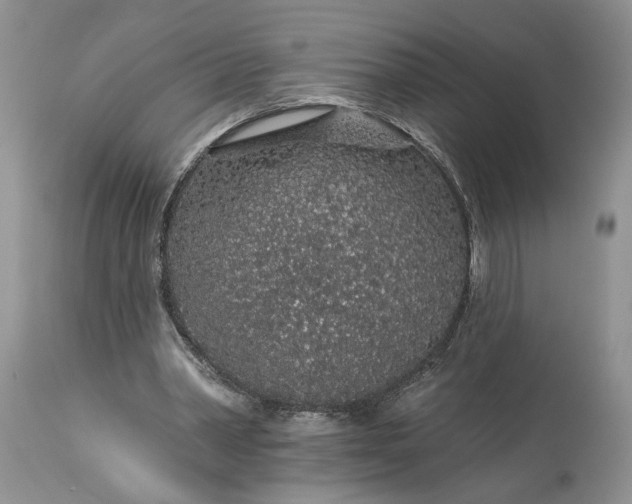 X0000114210390200910231411