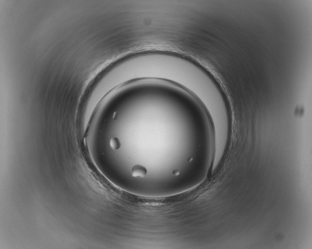 X0000114210391200910231411