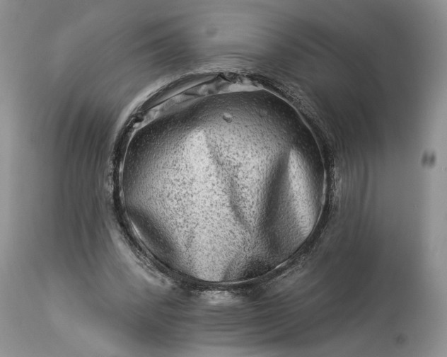 X0000114210392200910231411