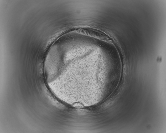 X0000114210393200910231411