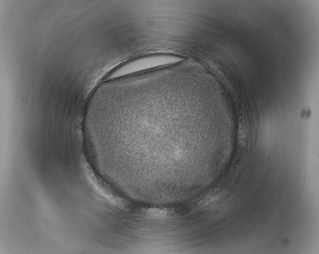 X0000114210394200910231411